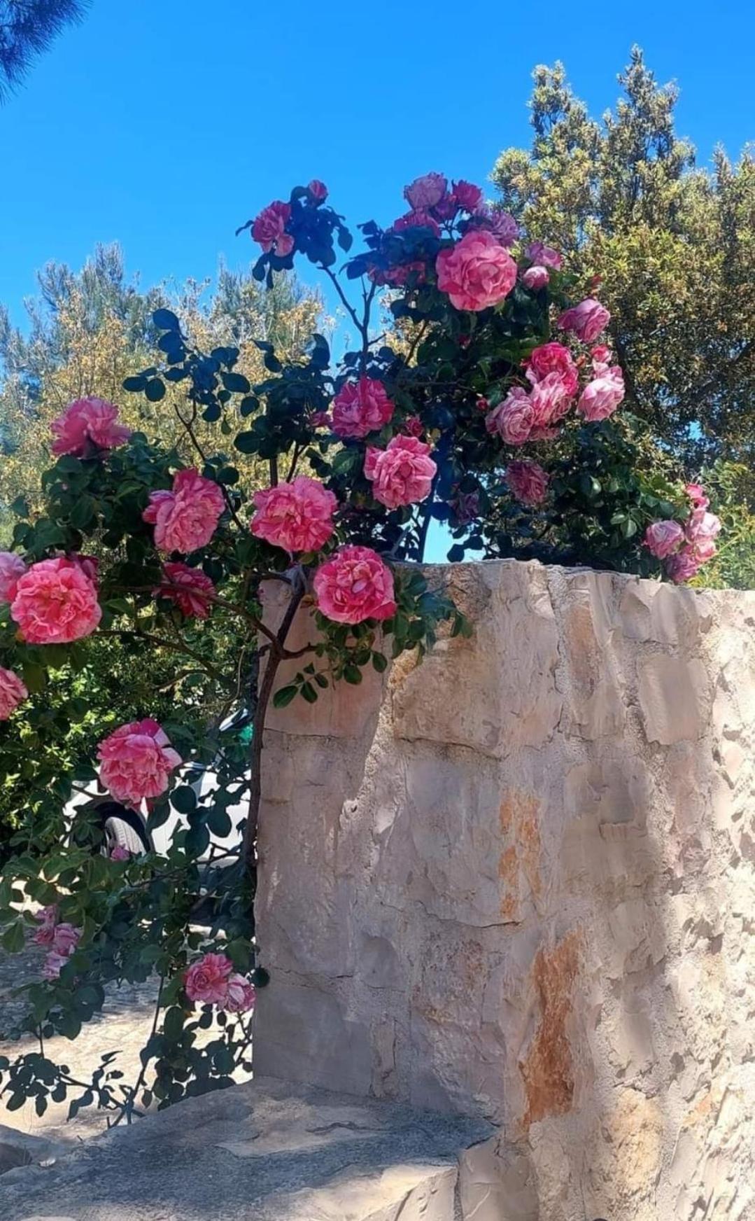 Вілла Il Trullo Delle Rose, Monopoli By Il Pumo Di Puglia Cozzana Екстер'єр фото