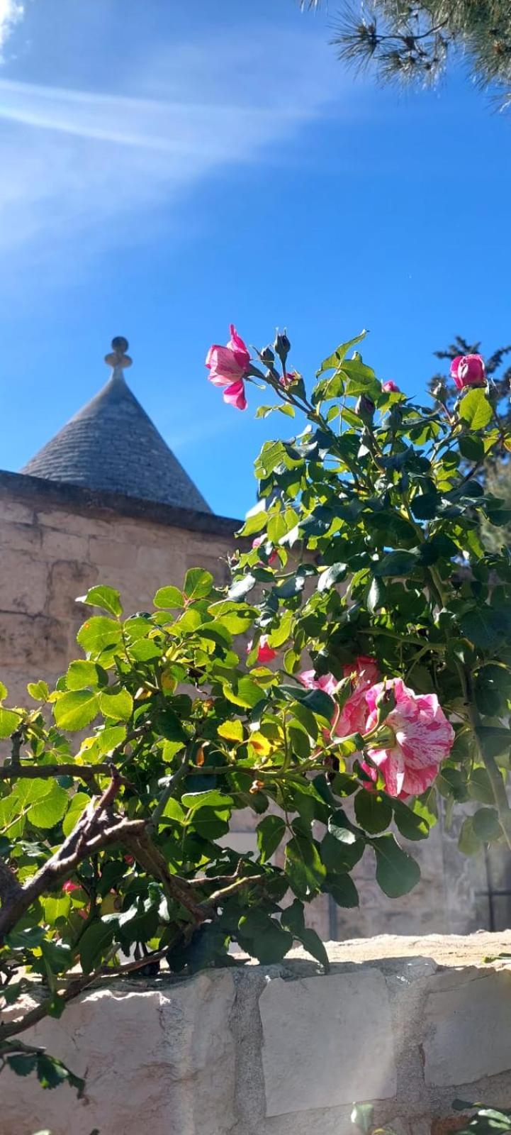 Вілла Il Trullo Delle Rose, Monopoli By Il Pumo Di Puglia Cozzana Екстер'єр фото